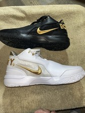 Nike Zoom LeBron NXXT Gen AMPD