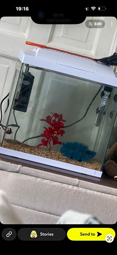 Superfish 25l glass - superfish,