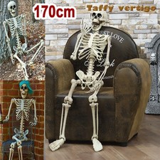 170CM Skeleton Full Size