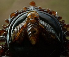 Death Head Moth Wall Decor -