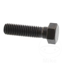 Genuine OEM Brake Disc Bolt