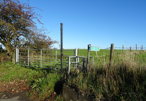 Photo 6x4 footpath dunwood - photo,