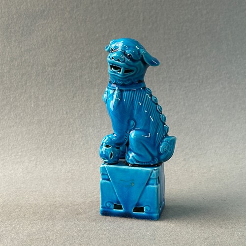 Chinese turquoise blue foo - chinese, dog