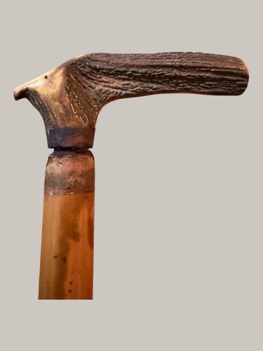 Antique deer antler mounted - antler,