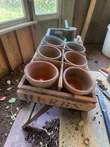 Terra cotta clay pots planters - clay,