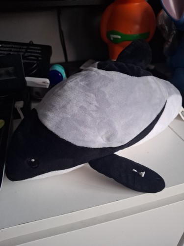 Little town orca - little,