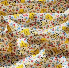 Pocket Monster Pokemon Pikachu