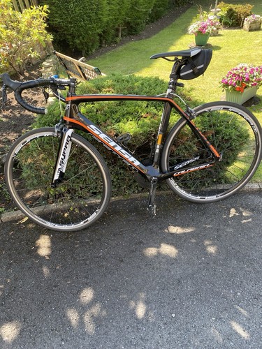 Sensa calibria custom road - sensa,