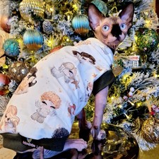 Angels Cotton Knitt - Sphynx