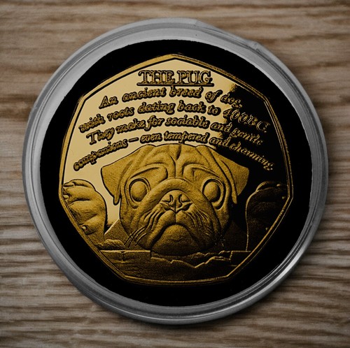 The pug 24ct - 'the, gold