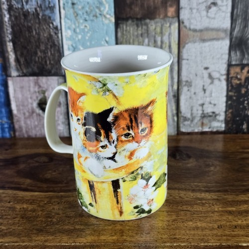 Beautiful cat kitten fine - beautiful,