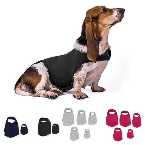 Dog solicitude fear - solicitude,