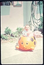 Ladybug Ride in Toy Toddler Girl Pink Bunny 1980s 35mm Slide Transparency