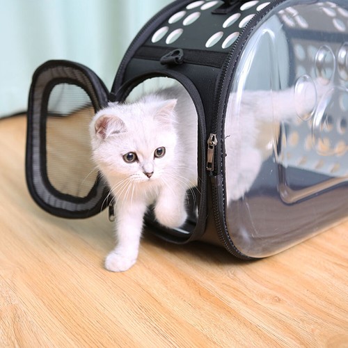 Cat carrier box - box, portable