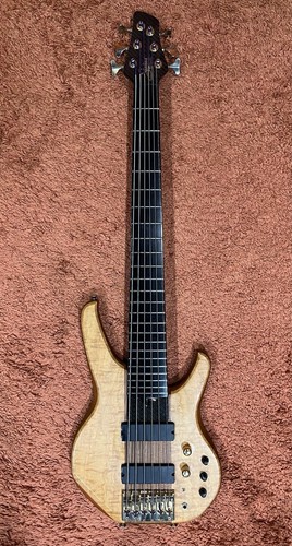 Status 6 string bass - -,