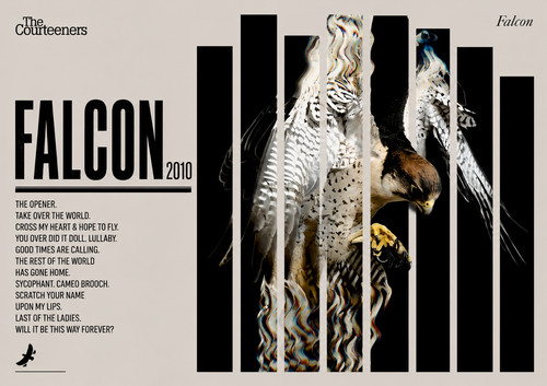 Courteeners falcon music - courteeners,