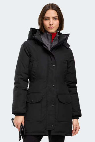 Canada goose women arctic - goose,