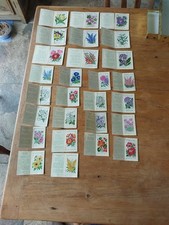 Kensitas vintage silk - kensitas,