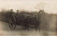 Man and Woman Riding Horse & Buggy Country Lane Postcard (H829)