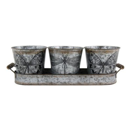 3pc tin plant - plant, tray