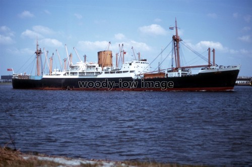 Sq0043 shaw savill - sq0043,