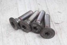 Screw brake disc brake at the