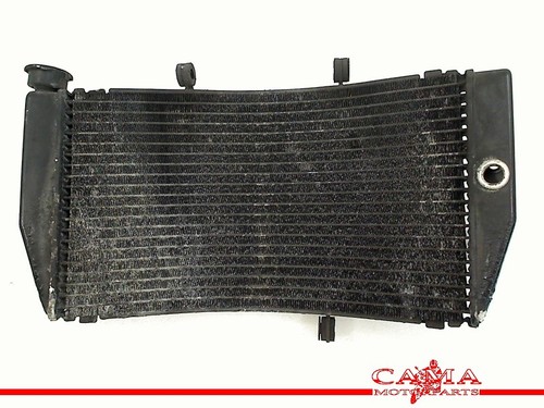 Radiator honda cbr - radiator,