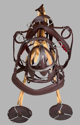 Leather carriage driving - leather,