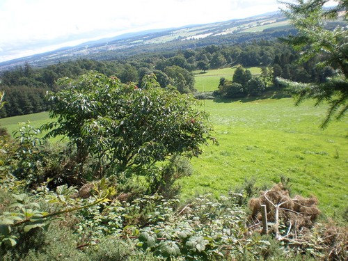 Photo pasture land - land, by