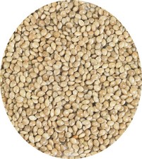 White Millet Seed Garden Caged Bird Seed 250g Budgie Finch Wild Bird Food
