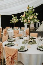 6 x Rose tree wedding centrepieces