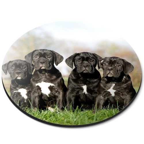 Round mouse mat cane - cane, corso