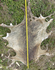 Real natural rawhide from