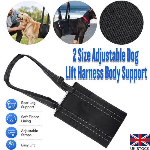 Pet dog mobility - mobility, support