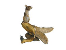 Border Fine Arts Mouse On A