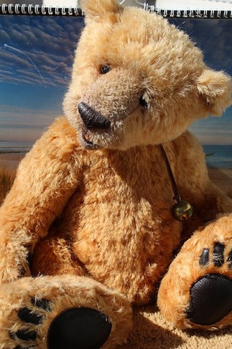 Original stein bear - original,
