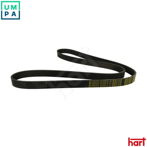 Vribbed belt 368 941 for - belt,