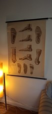 Antique C.1900 German Classroom podiatry chiropodist foot feet lecture canvas