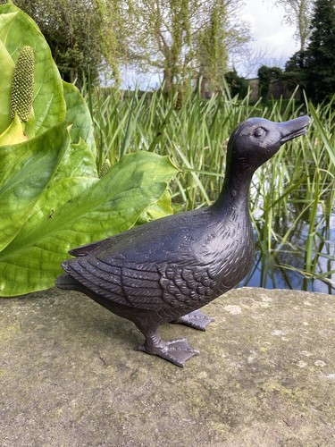 Metal cast iron - cast,