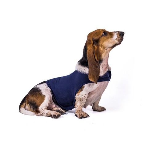 Pet dog calming shirt - pet, coat