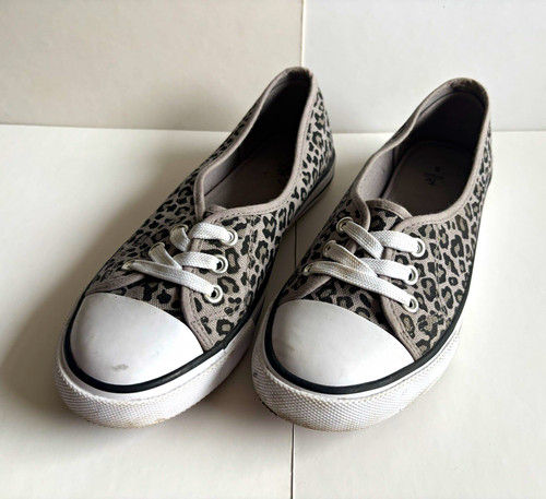 Grey leopard animal - leopard,