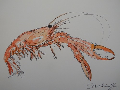 Original watercolour painting