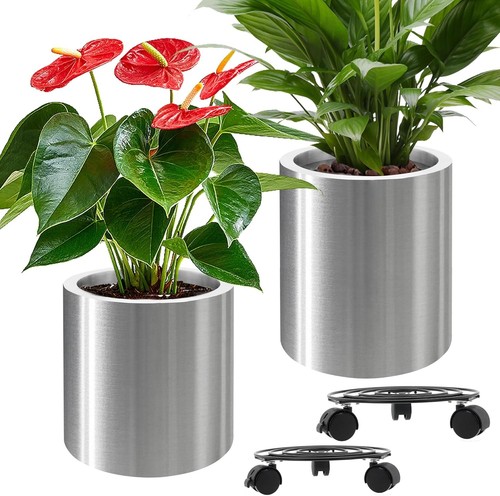Pack plant pots - pack, pots,