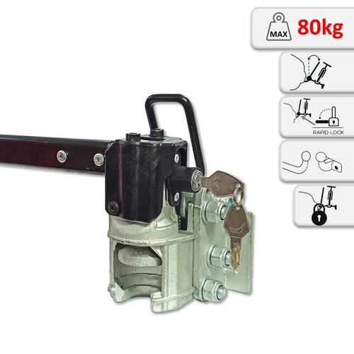 Universal tilting plug - universal,