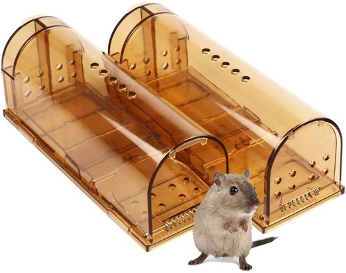Pack humane mouse - humane, live