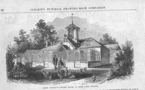 Queen victoria poultry house - queen, victoria's