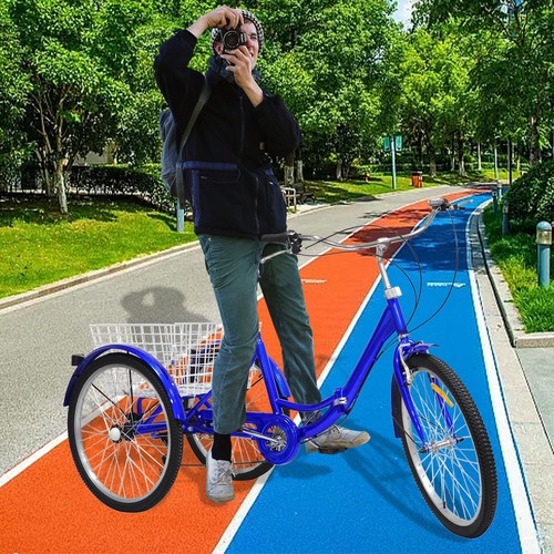 Inch tricycle adults - 24,