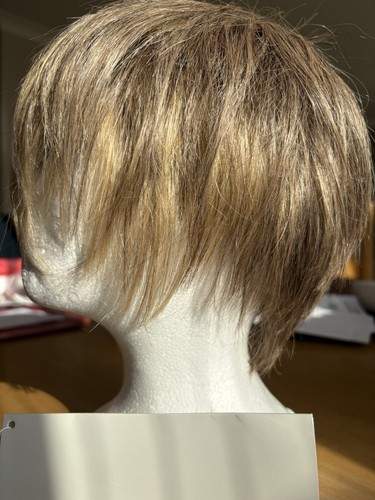 Raquel welch cutting edge wig - welch,