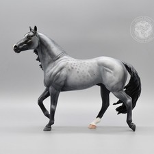 Custom Blue Roan  - "Smart