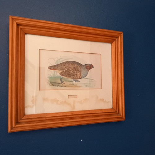 Partridge antique hand - antique,